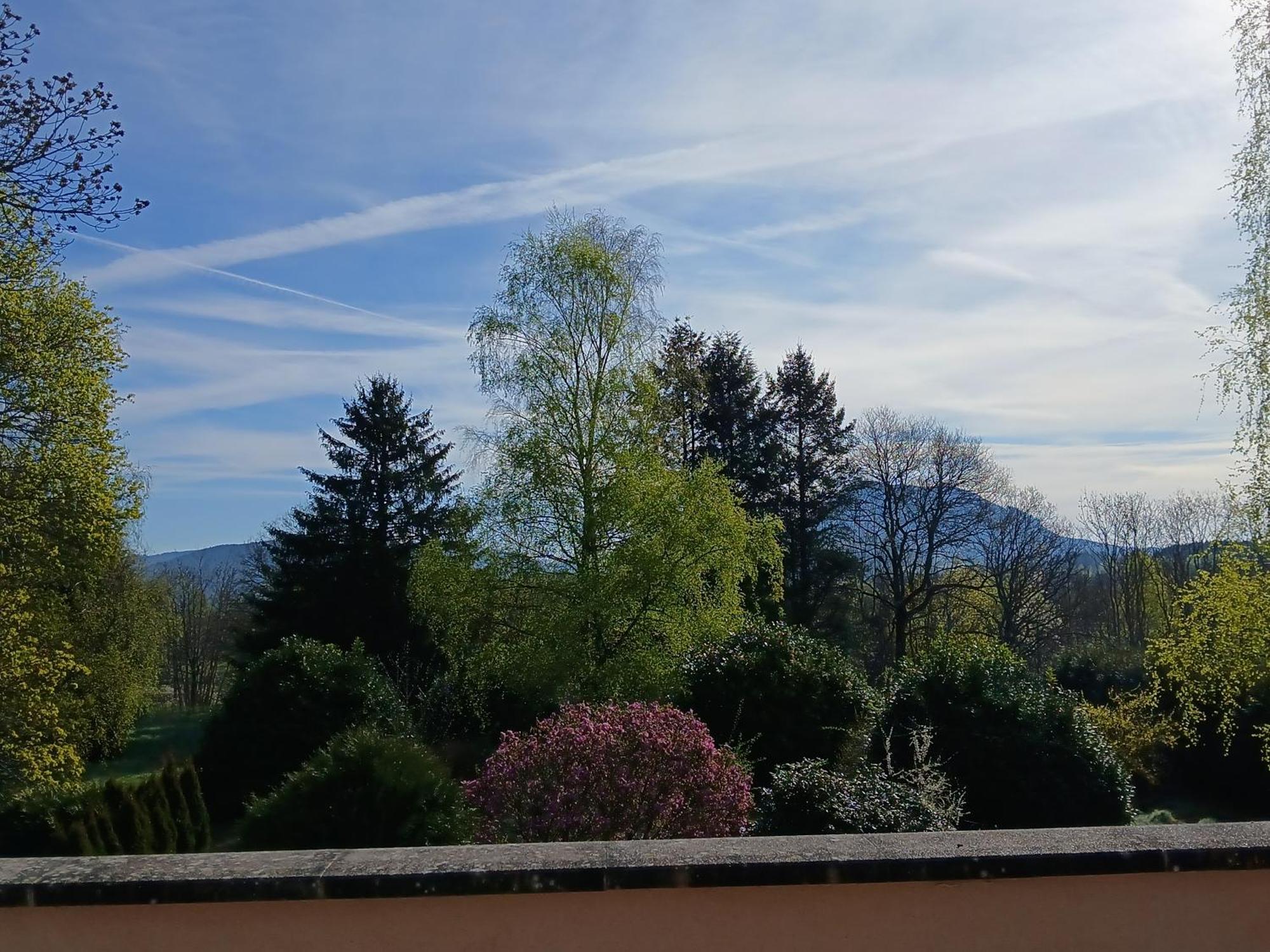 Hotel L'Oree Des Roches Saales Esterno foto
